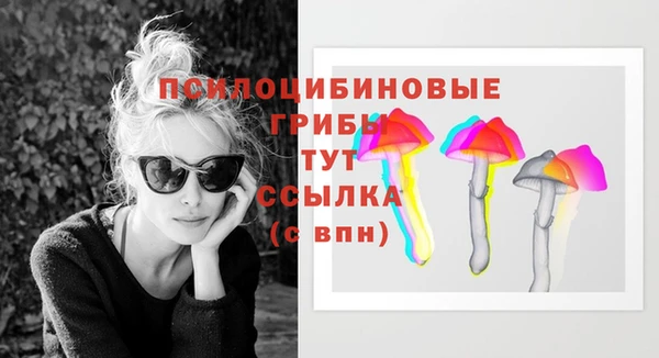 стаф Абдулино