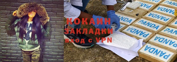 индика Горнозаводск